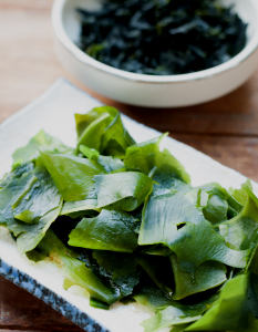 seaweed