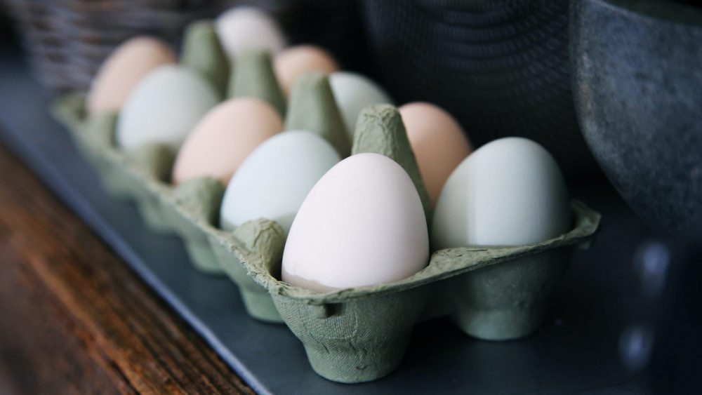 eggs in carton