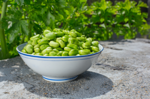 shelled fava beans