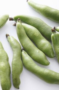 whole fava beans