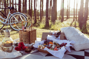 picnic photo
