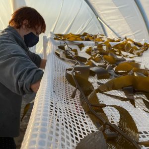 kelpful greenhouse