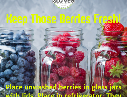 Keep Those Berries Fresh!