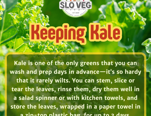 Keeping Kale – How to Prep