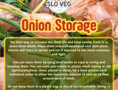 Increase the Shelf Life of Your Onions