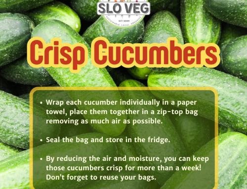 Crispy Cucumbers – Food Prep Tip