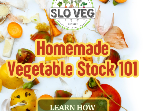 Homemade Vegetable Stock 101