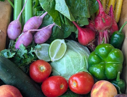 Farm Fresh Harvest Boxes August 18-21, 2026