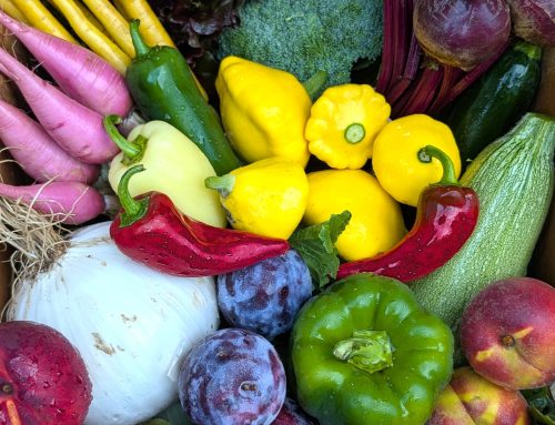 Summertime Harvest Boxes Are The Best! Arriving Auguest 11-14, 2026
