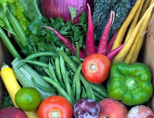 Bursting with Summer Flavor Harvest Box August 4-7, 2026